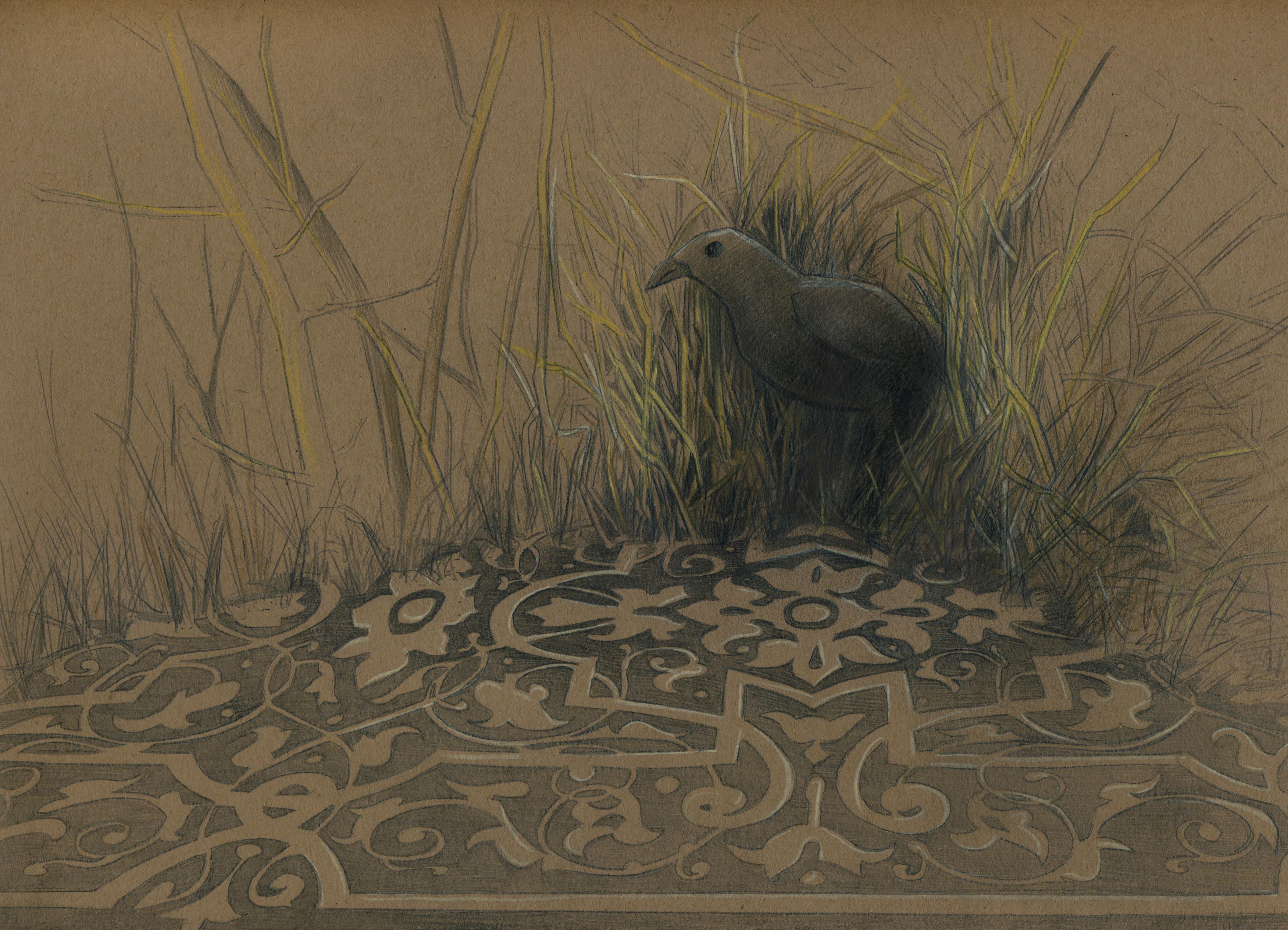 Gigi Chen Animal Art - Hide-Out, 2015, bower bird, nature, animal, pattern, drawing, framed