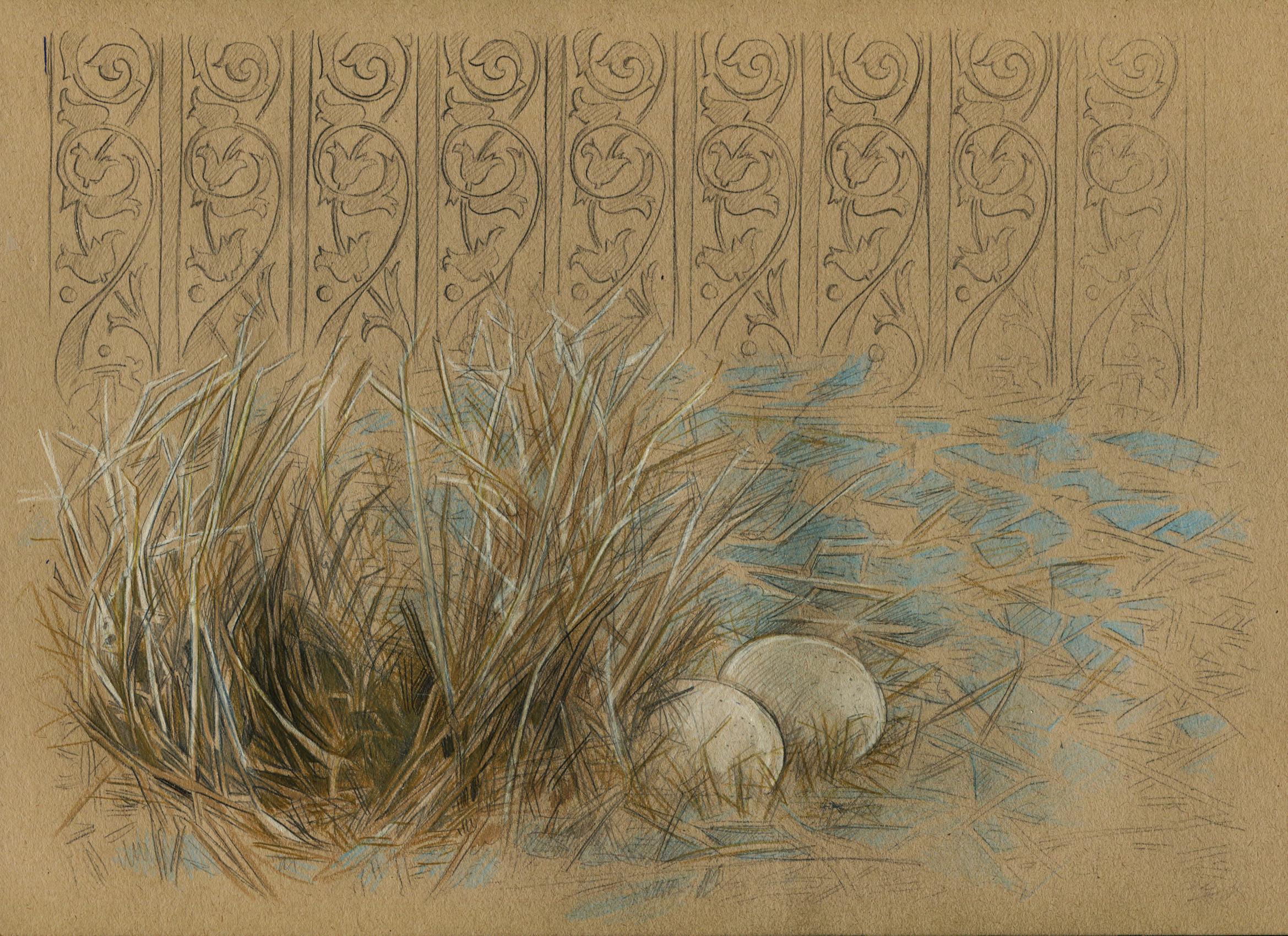 Bundle, 2015, bower bird, nature, animal, pattern, drawing, framed