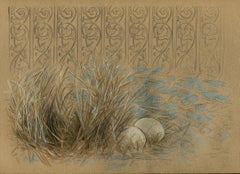 Bündel, 2015, Bower Vogel, Natur, Tier, Muster, Zeichnung