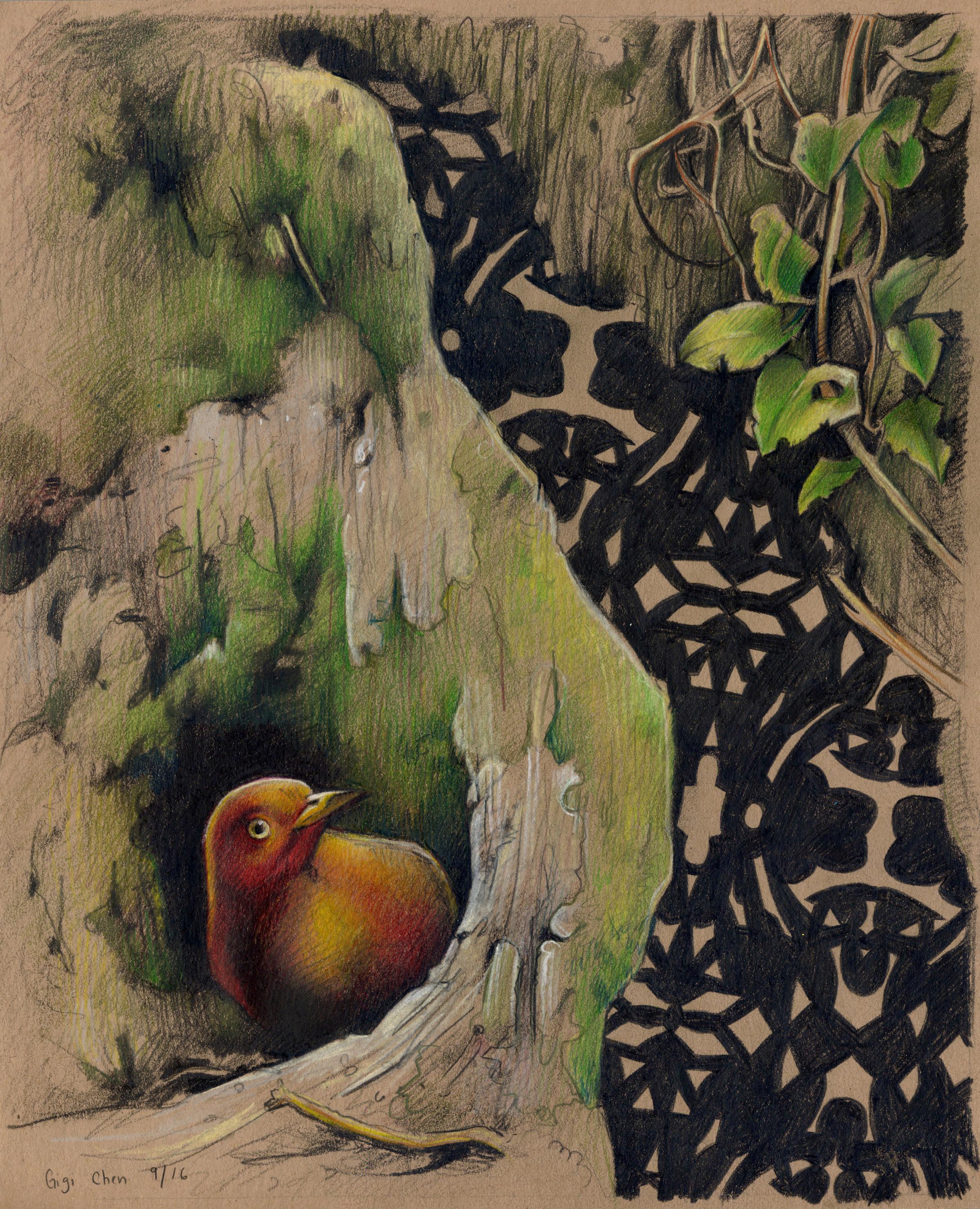 Gigi Chen Animal Art - An Occasion #1, Bower bird, drawing, framed, tan, green, pattern, animal, nature