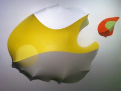 Number 28, Vertebrate Companion Series, 2012, acrylic on canvas, wall sculpture