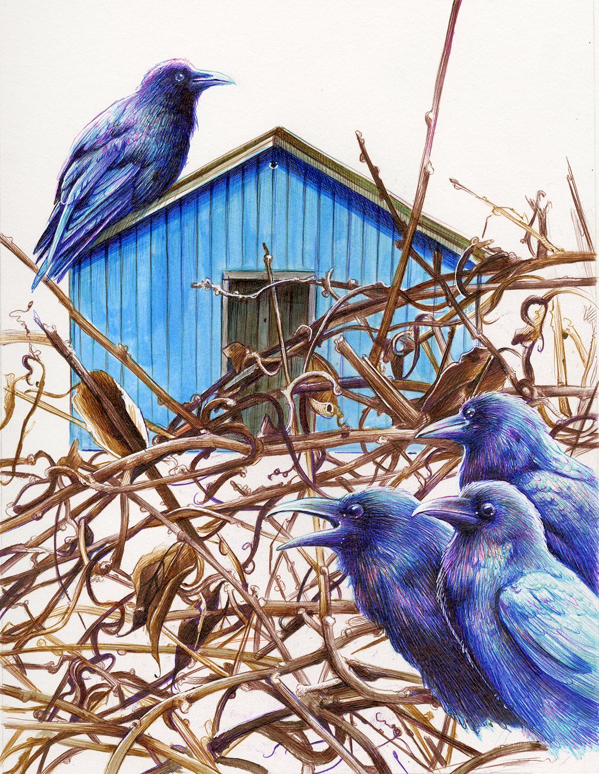 The Calling, Bower birds, drawing, framed work on paper, blue house, thicket