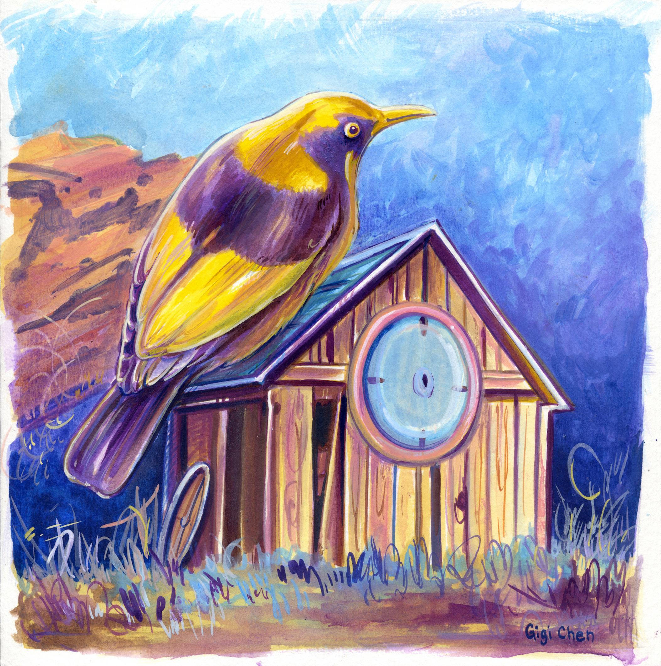 Settle In, yellow Bower bird, landscape drawing, house, framed work on paper