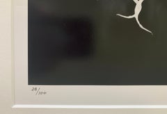 Ghost Orchid #1  Clyde Butcher 20" x 16" Black and White Print