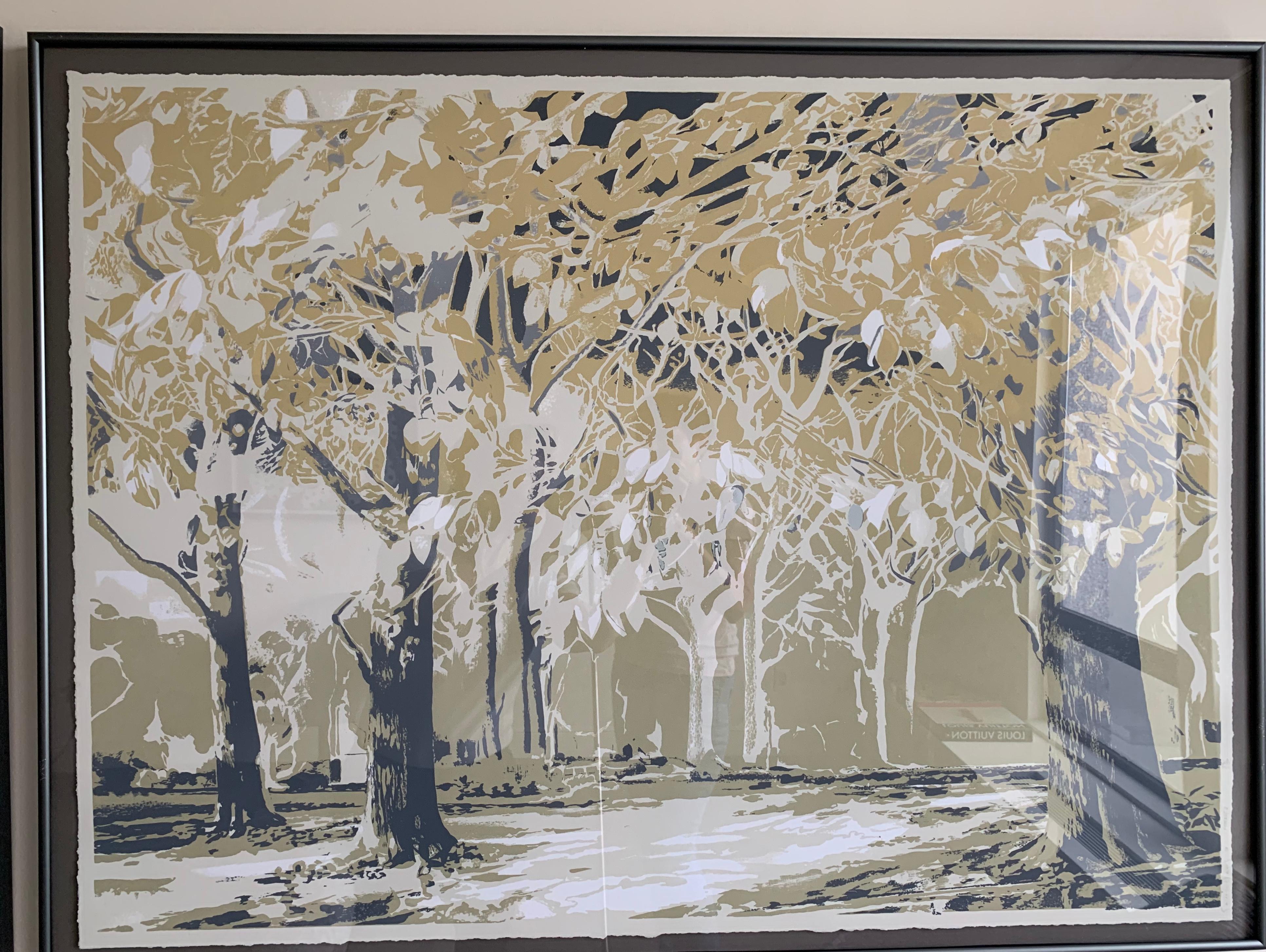 colonnade trees