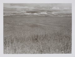 Hideoki, Black & White, Landscape, Kenya, Africa, 1994, Monochromatic, 16" x 20"