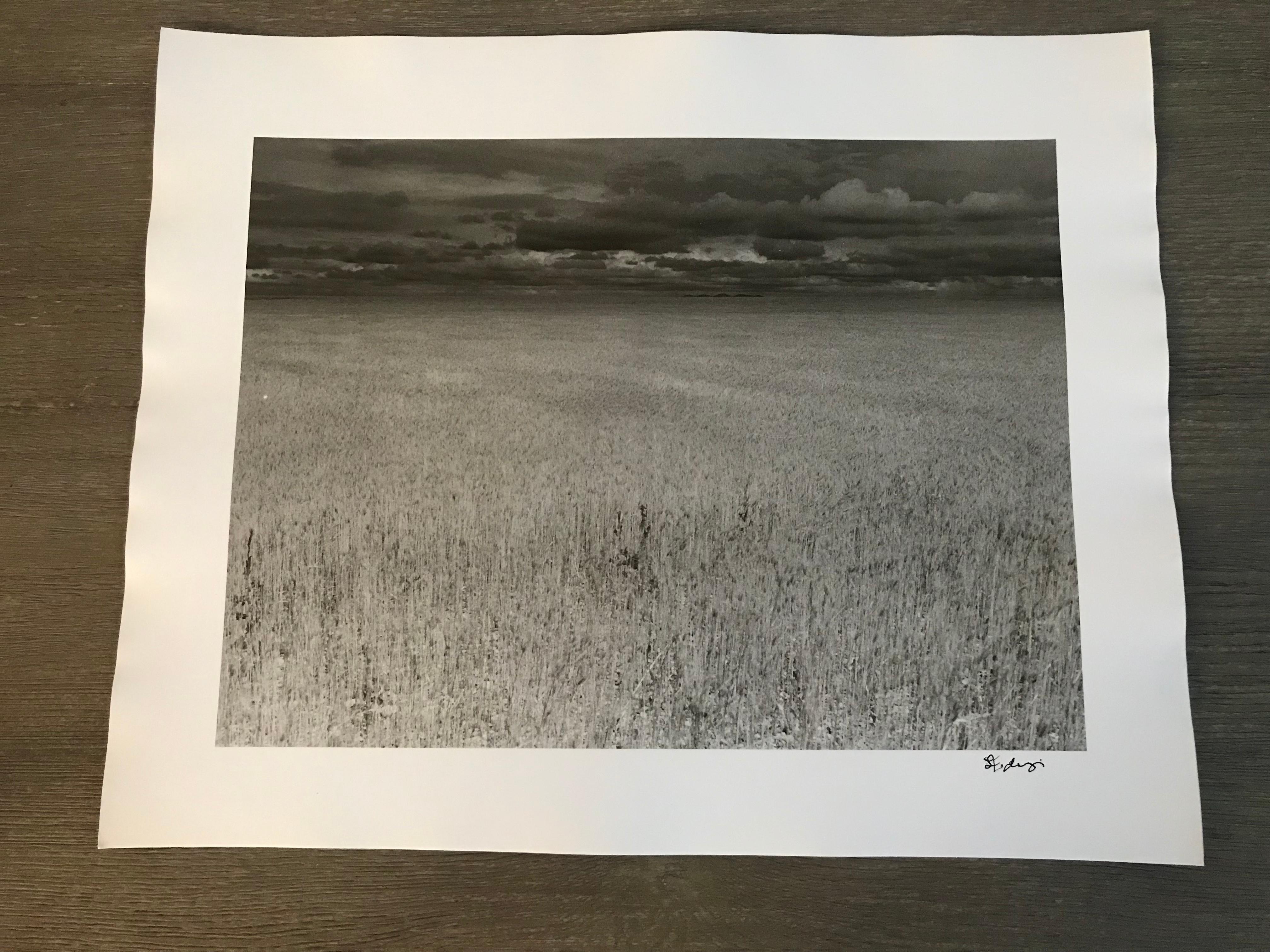 Hideoki, Black & White, Landscape, Kenya, Africa, 1994, Monochromatic, 16