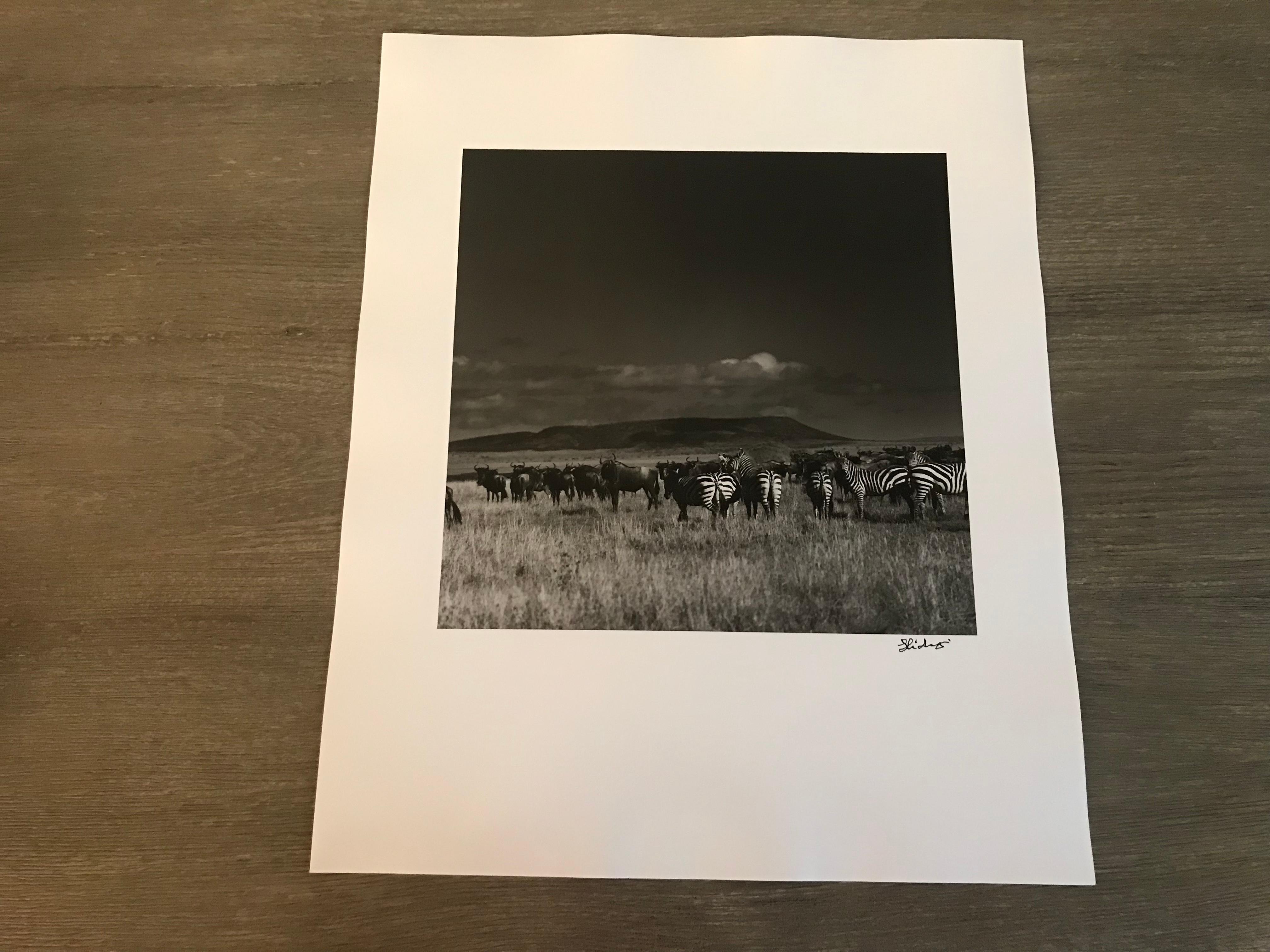 Hideoki, Black & White, Wildlife, Tanzania, 1994, Gnus & Zebras, Monoprint, 16