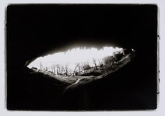 Hideoki, Black & White Photography, Eye of Nature, Patagonia, 2008, 16" x 20"