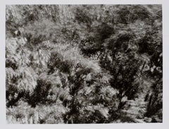 Vintage Hideoki, Black & White Photography, Backyard, 1988, 16" x 20"