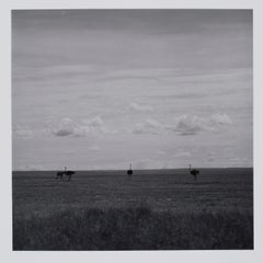 Hideoki, Black & White Photography, Untitled, Tanzania, 1994