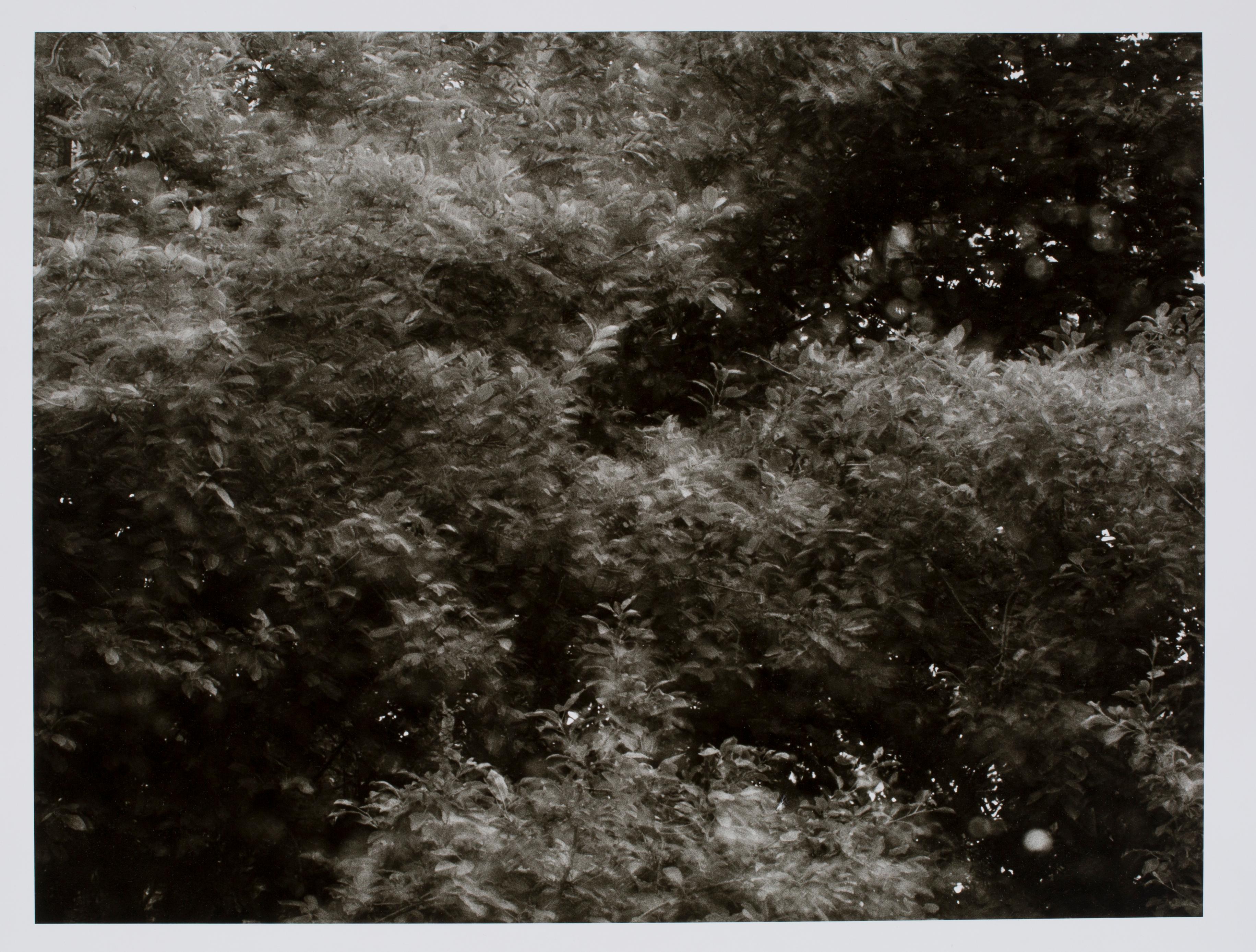 Hideoki Hagiwara Black and White Photograph – Hideoki, Black & White Photography, Blurred, USA, 1970