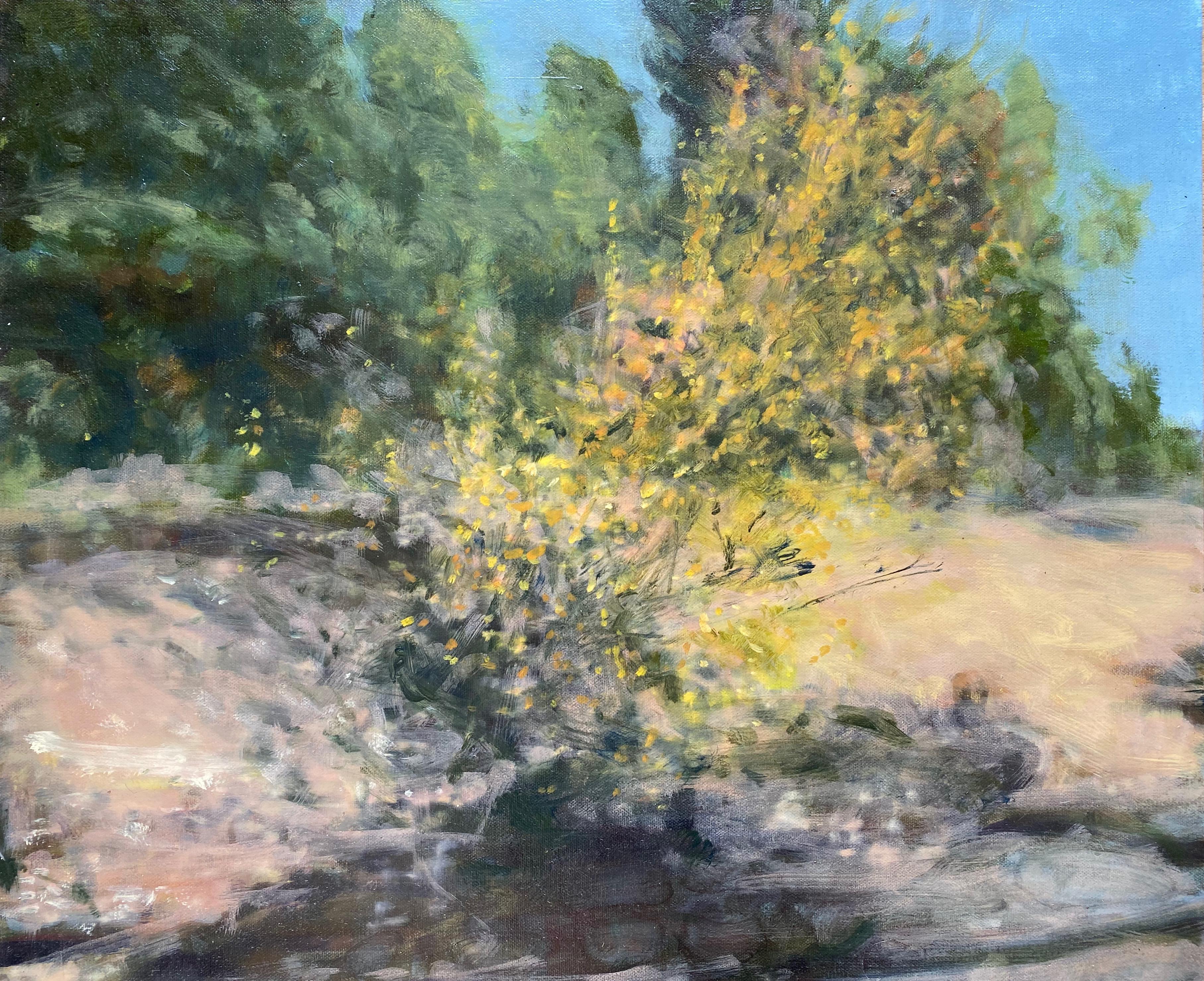 Dean Dass Landscape Painting – Birch Near Superior