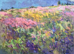 Pink Hill, Mountain