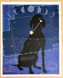 Dog Star; Louisa (canis minor)