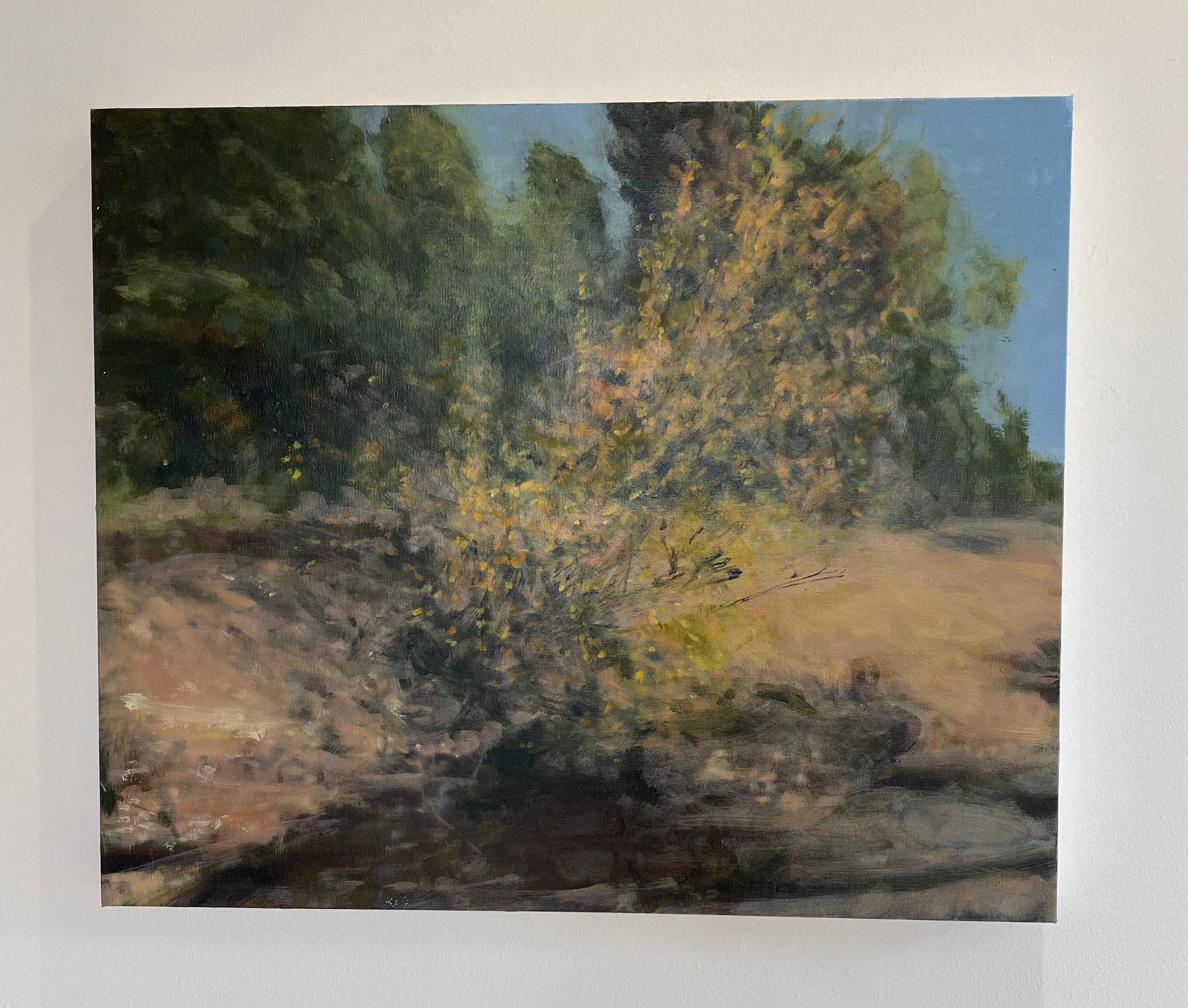 Birch Near Superior – Painting von Dean Dass