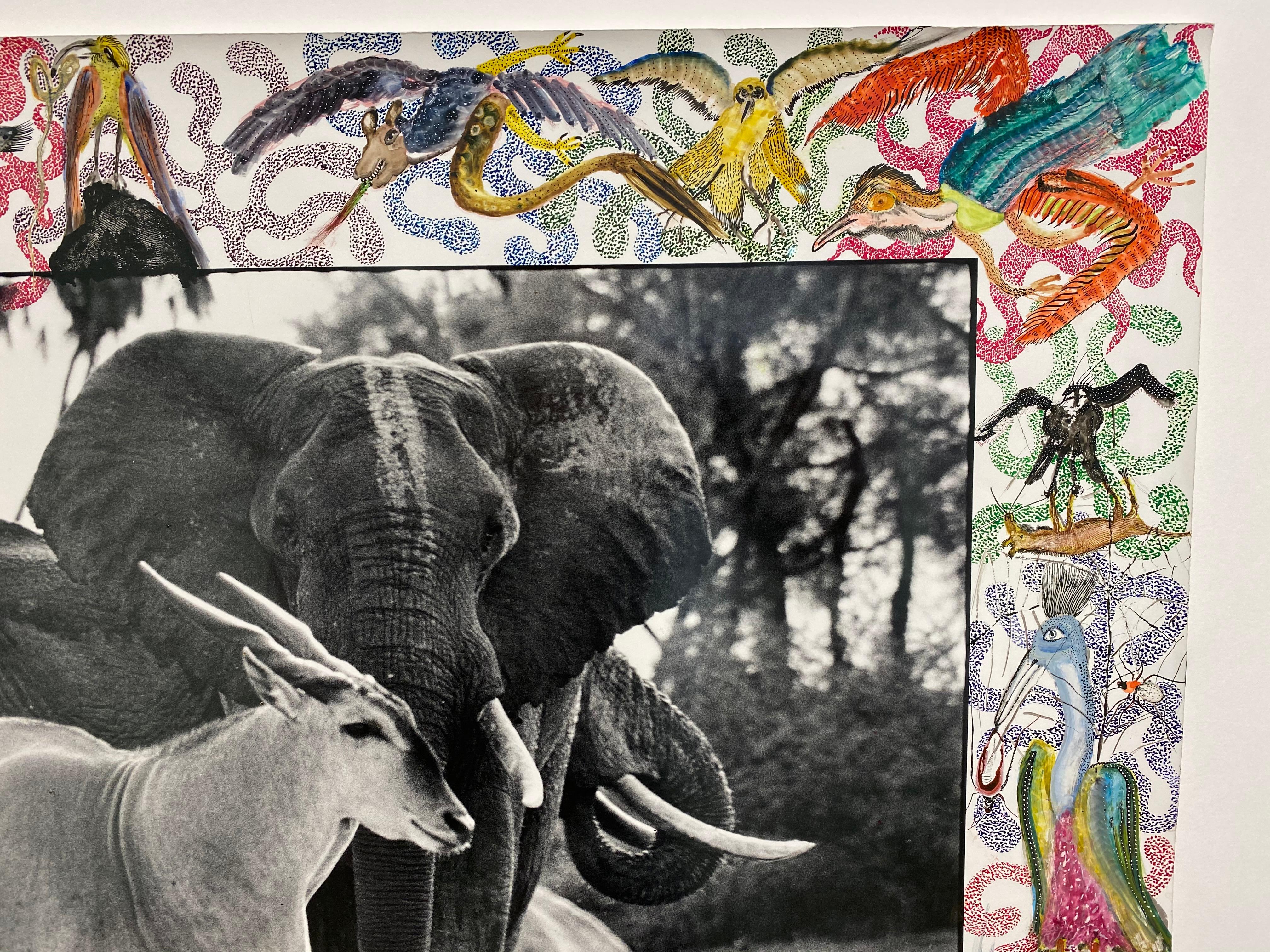 Elephant and Eland - Contemporary, Animal, Landscape Photography, Peter Beard 3