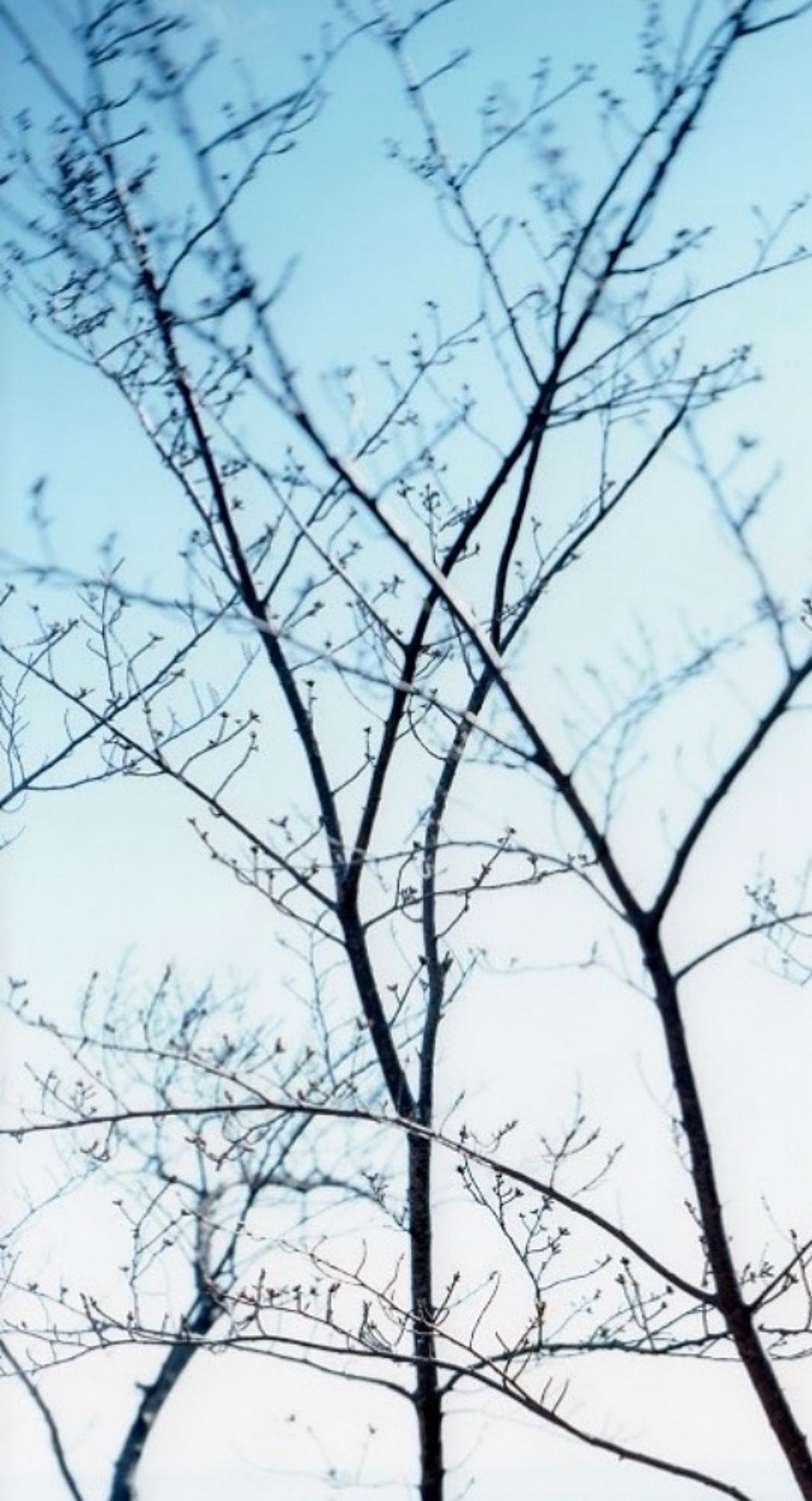 RISAKU SUZUKI (*1963, Japan)
Between the Sea and the Mountain – Kumano 14,DK-430
2014
Chromogenic print
Sheet 95.2 x 119 cm (37 1/2 x 46 7/8 in.)
Frame 98.8 x 121.5 x 4.2 cm (38 7/8 x 47 7/8 x 1 5/8 in.)
Edition of 5; Ed. no. 1/5
Framed

This