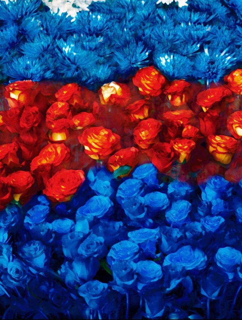 Florales, Viejo Futuro - Erik Madigan Heck, Moda, Color, Fotografía, Mujer en venta 3