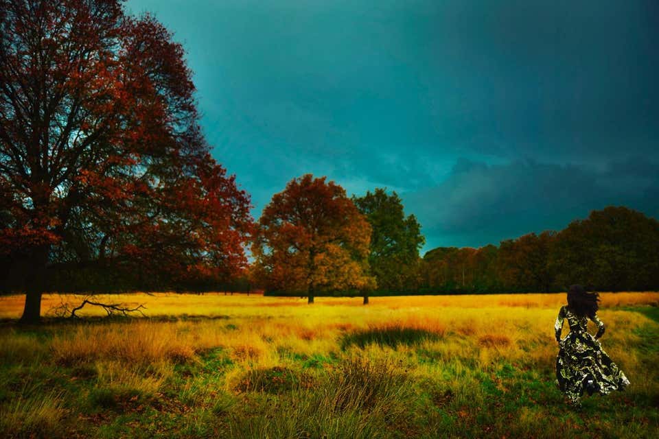 Richmond Park, Old Future – Erik Madigan Heck, Photography, Art, Fashion, Nature