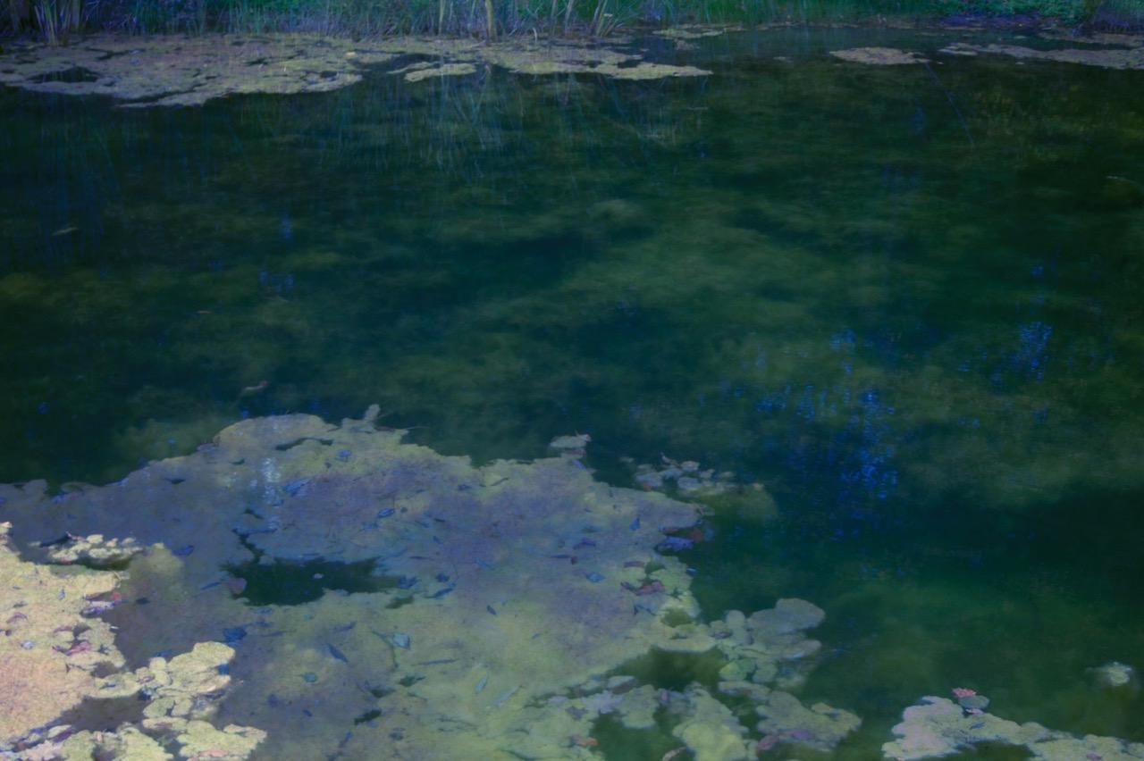 Erik MADIGAN HECK (*1983, Vereinigte Staaten)
Eine Rückkehr nach Giverny, 2011
Chromogener Druck
Blatt 101,6 x 156,2 cm (40 x 61 1/2 in.)
Rahmen 104,5 x 159 x 5 cm (41 1/8 x 62 5/8 x 2 in.)
Auflage von 5, plus 2 AP; Ed. Nr. 2/5
Nur drucken

Der aus
