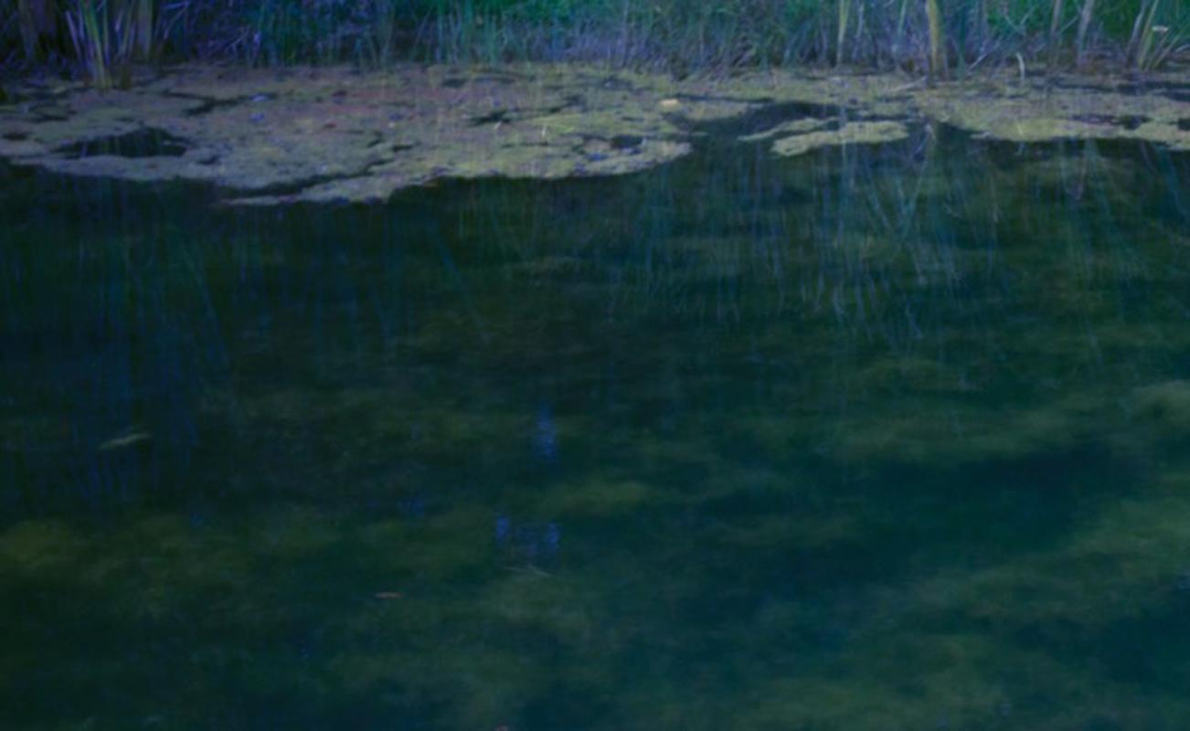 Rückkehr zu Giverny Erik Madigan Heck, Fotografie, Kunst, Natur, Wasser, Farbe im Angebot 1