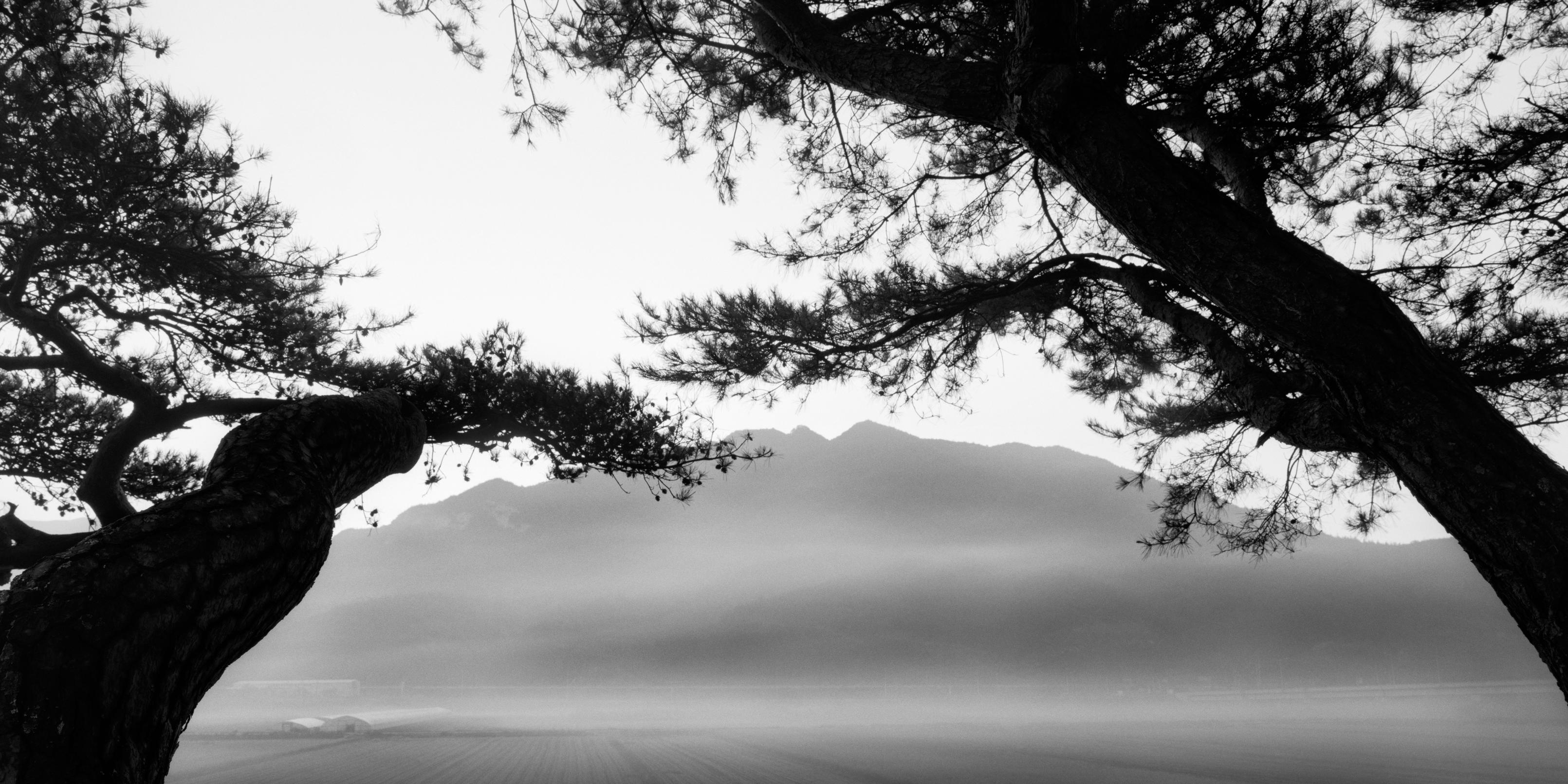 SNM1A-067H – Bien-U BAE, Photography, Abstract, Landscape, Art, Nature, Tree - Black Black and White Photograph by Bae Bien-u