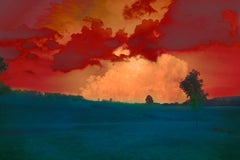 Ohne Titel 5, aus der Serie 'Der Garten' - Erik Madigan Heck, Natur, Sonnenuntergang