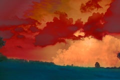 Untitled 5, from the series 'The Garden' – Erik Madigan Heck, Nature, Sunset
