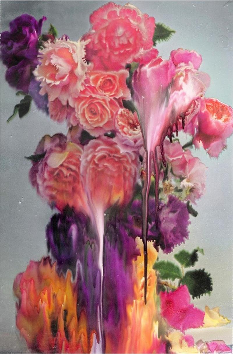 Rose II – Nick Knight, Photography, Pink, Rose, Flower, Art, Contemporary 