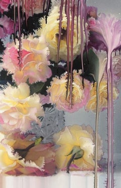 Rose I – Nick Knight, Photography, Pink, Rose, Flower, Art, Light, Contemporary