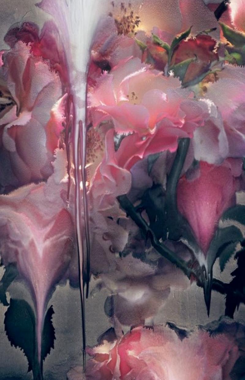 Rose VI - Nick Knight, Photographie, Rose, Rose, Fleur, Art, Lumière en vente 4
