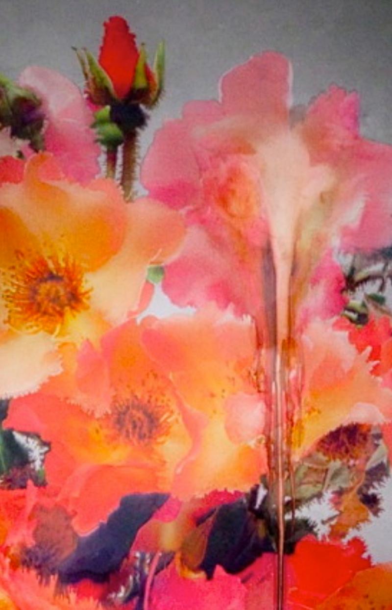 Rose VIII Nick Knight, Photographie, Rose, Fleur, Art, Contemporain  en vente 4