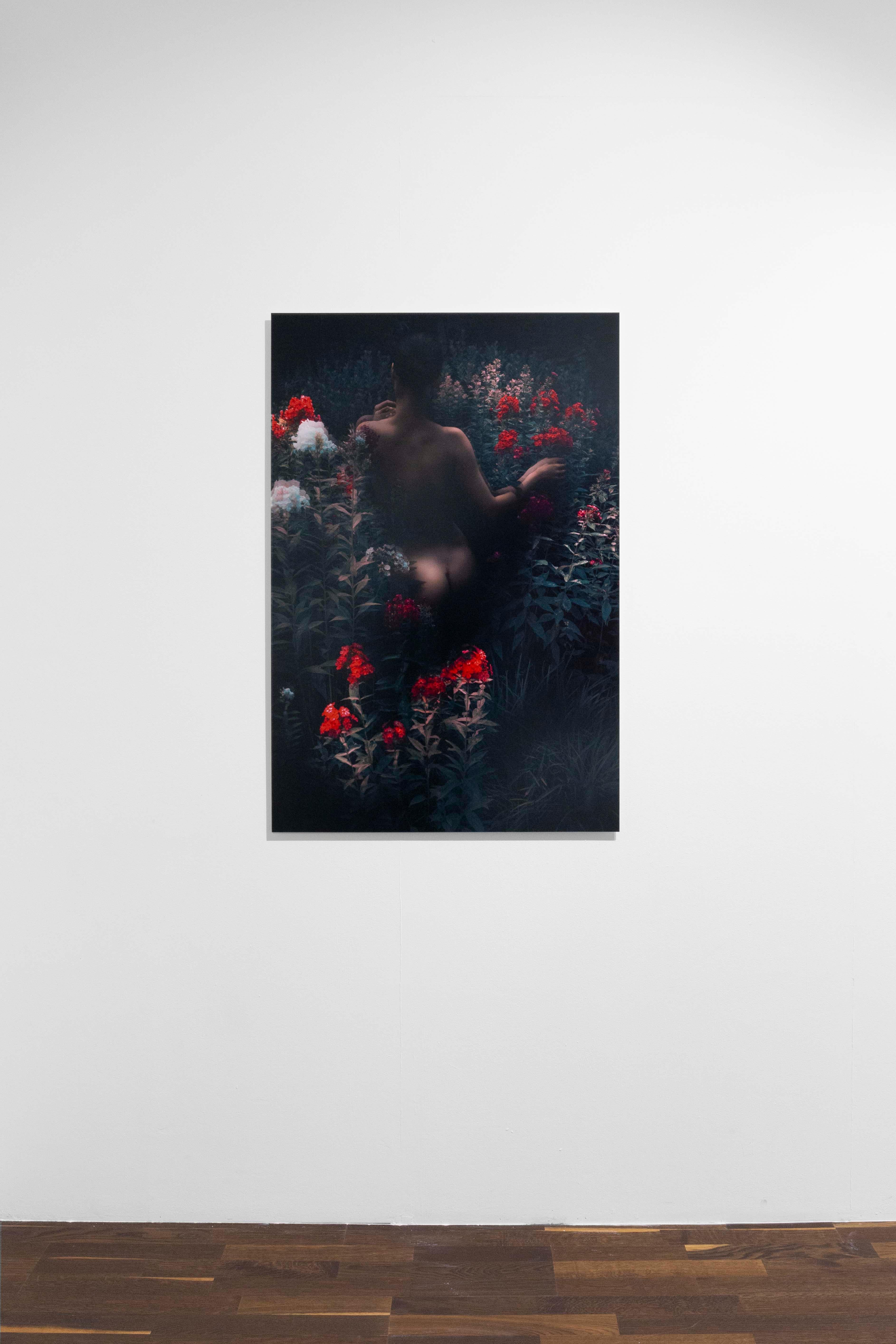 Magenta Dawn, The Garden' – Erik Madigan Heck, Nude, Nature For Sale 3
