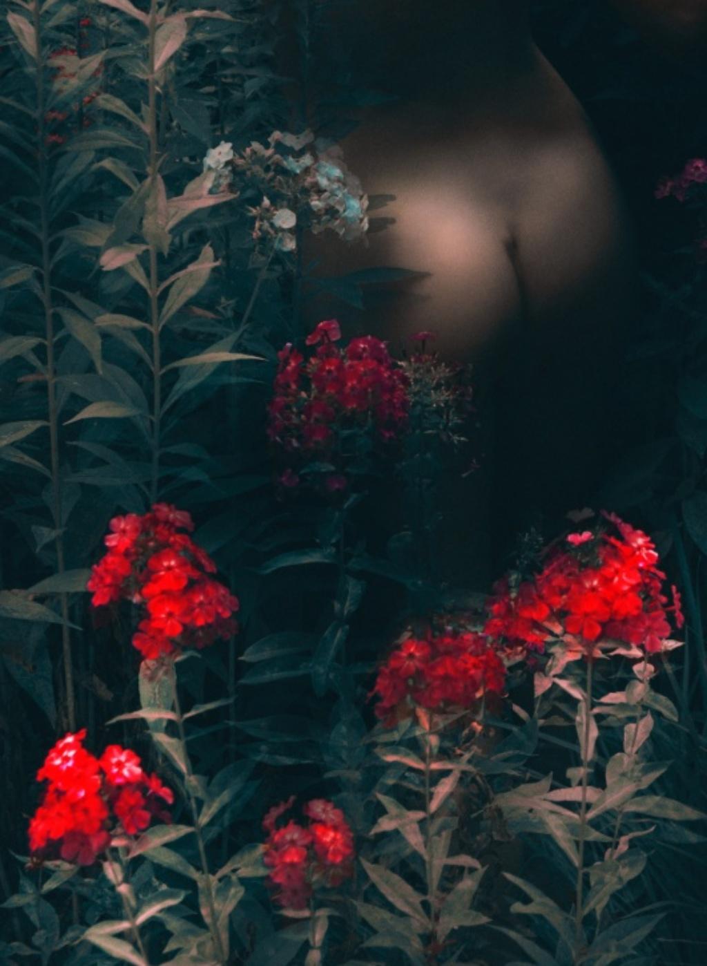 Amanecer Magenta, El Jardín