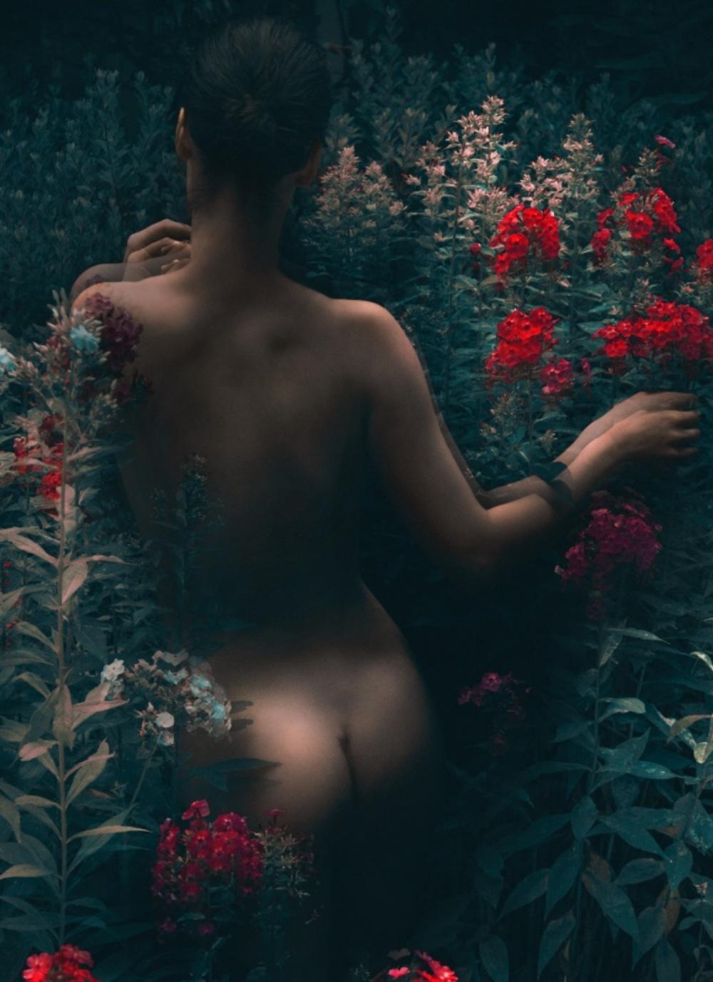 Amanecer Magenta, El Jardín