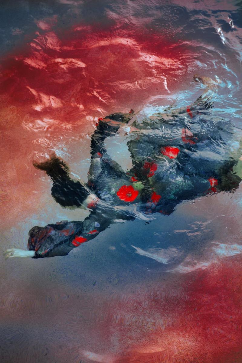 Erik Madigan Heck (*1983, Stati Uniti)
Senza titolo, dalla serie 'The Garden', 2020
Stampa cromogenica
Foglio 152,4x 101,6 cm (60 x 40 pollici)
Edizione di 9, più 2 AP; Ed. n. 1/9
solo per la stampa

Originario di Excelsior, Minnesota, Erik Madigan