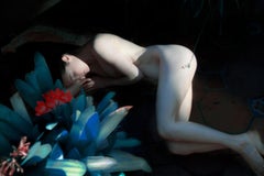 The Leaf, aus der Serie „The Garden“, Erik Madigan Heck, Akt, Blume, Sonnenuntergang