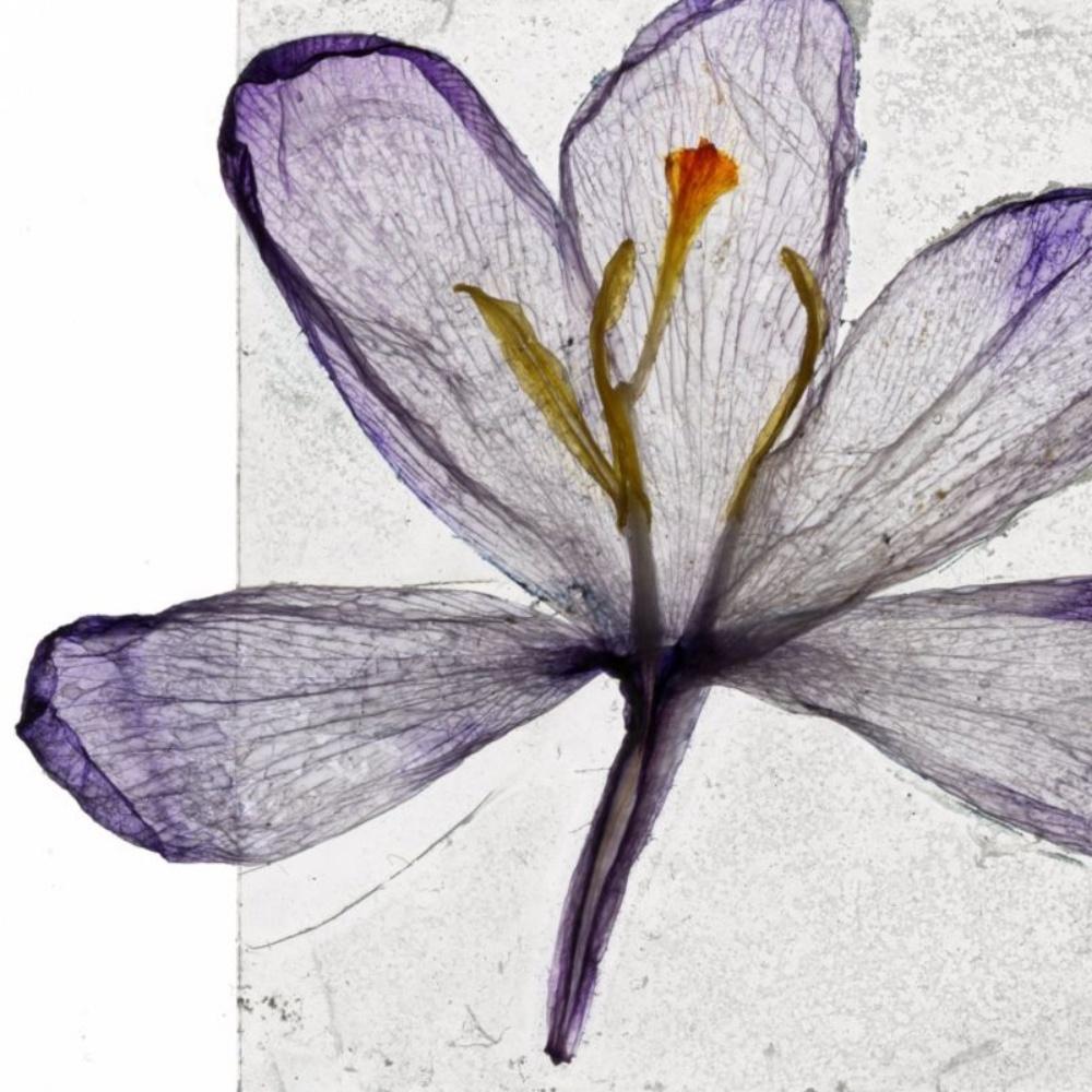 Nous avons passé le soleil couchant - Brigitte Lustenberger, Fleur, Nature morte, Flore en vente 3