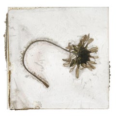 A Tender Grief That Is Not Woe – Brigitte Lustenberger, Flower, Still Life, Art