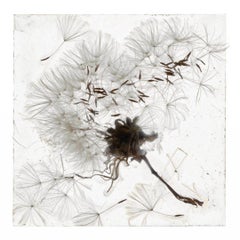 An Apparition Of Memory – Brigitte Lustenberger, Flower, Still Life, Flora, Art