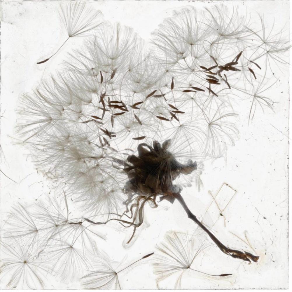 Brigitte Lustenberger: „Anspielung auf die Erinnerung“, Blumen, Stillleben, Flora, Kunst im Angebot 4