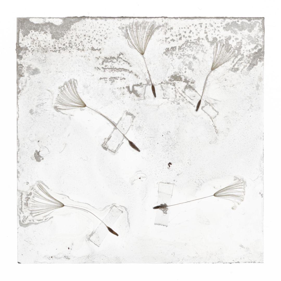 Flowers Unknown 007 – Brigitte Lustenberger, Flower, Still Life, Flora, Art