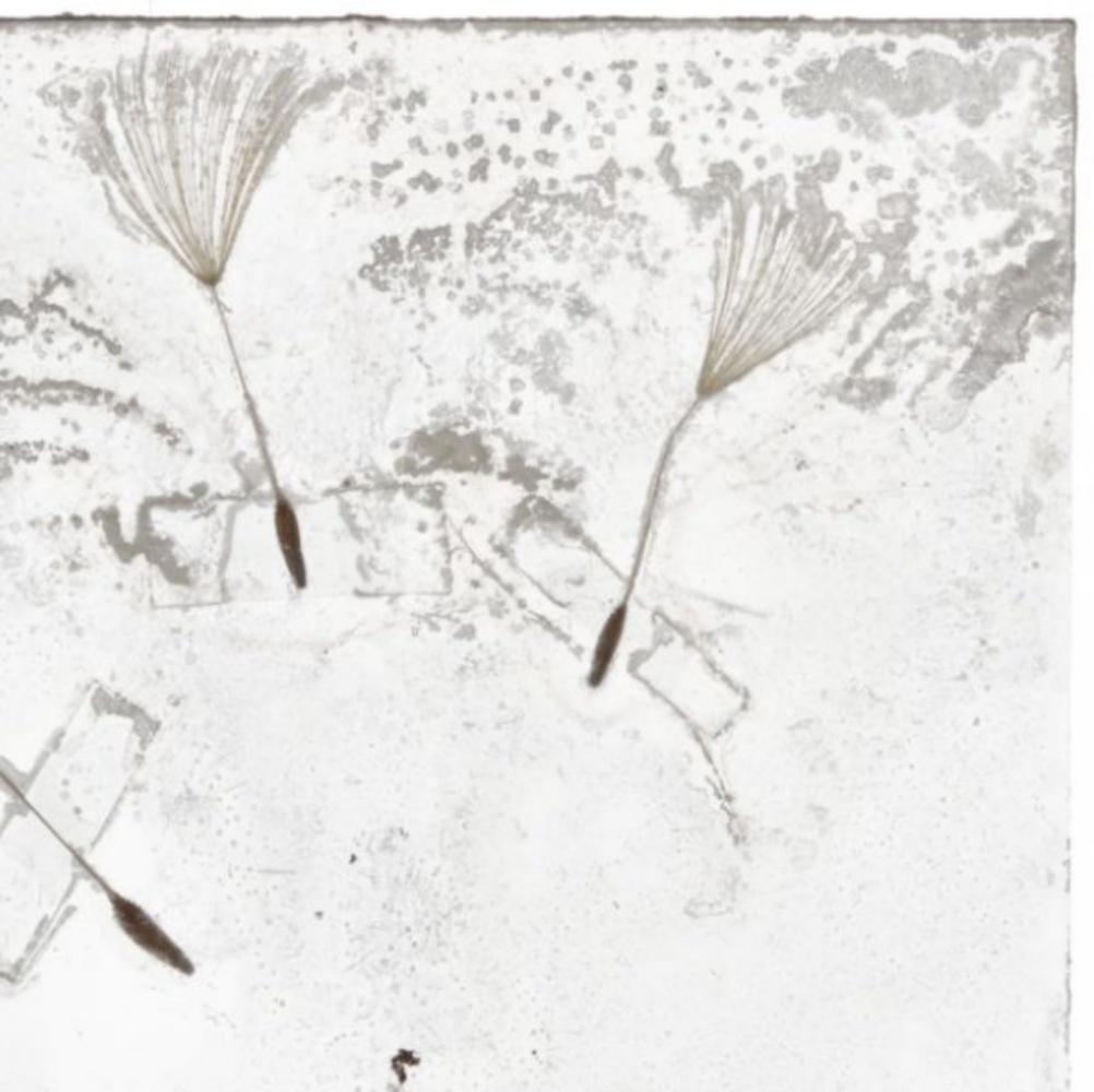 Flowers Unknown 007 - Brigitte Lustenberger, Blume, Stillleben, Flora, Kunst im Angebot 2