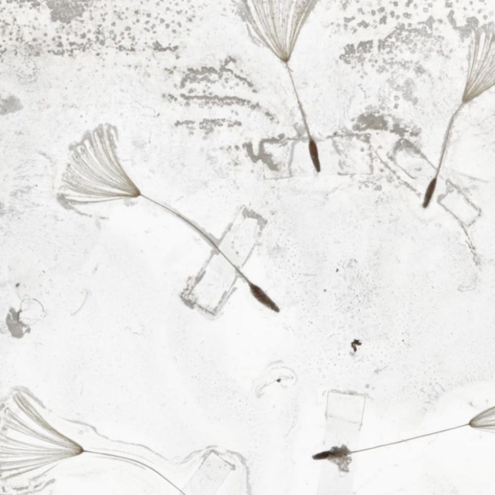 Flowers Unknown 007 - Brigitte Lustenberger, Blume, Stillleben, Flora, Kunst im Angebot 3
