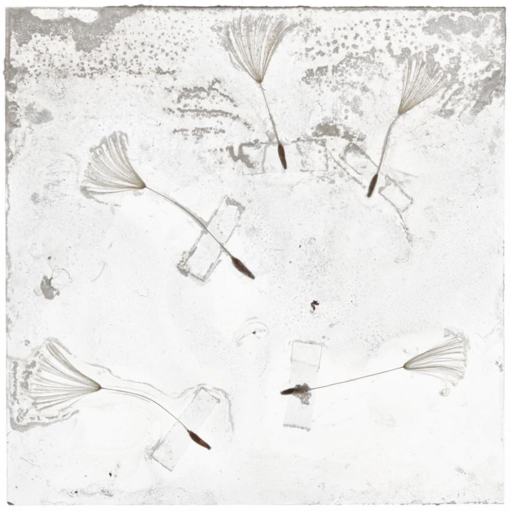 Flowers Unknown 007 - Brigitte Lustenberger, Blume, Stillleben, Flora, Kunst im Angebot 4
