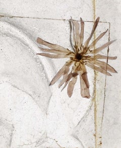 Ahora No Es Momento Flores - Brigitte Lustenberger, Flor, Naturaleza Muerta, Arte