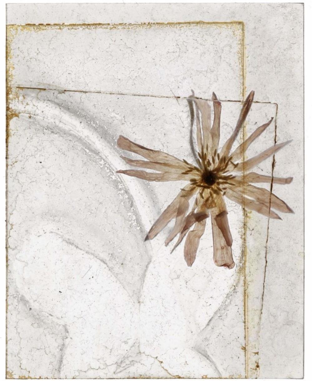 „ Now Is Not A Time“ Blumen Brigitte Lustenberger, Blume, Stillleben, Kunst im Angebot 4