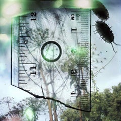 Sans titre, de « Talking to Ants » Stephen Gill, couleur, abstrait, paysage