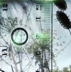 Senza titolo, da 'Talking to Ants' - Stephen Gill, Colore, Astratto, Paesaggio